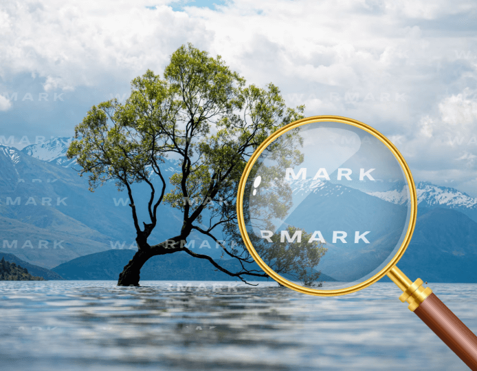 Removes even the toughest marks